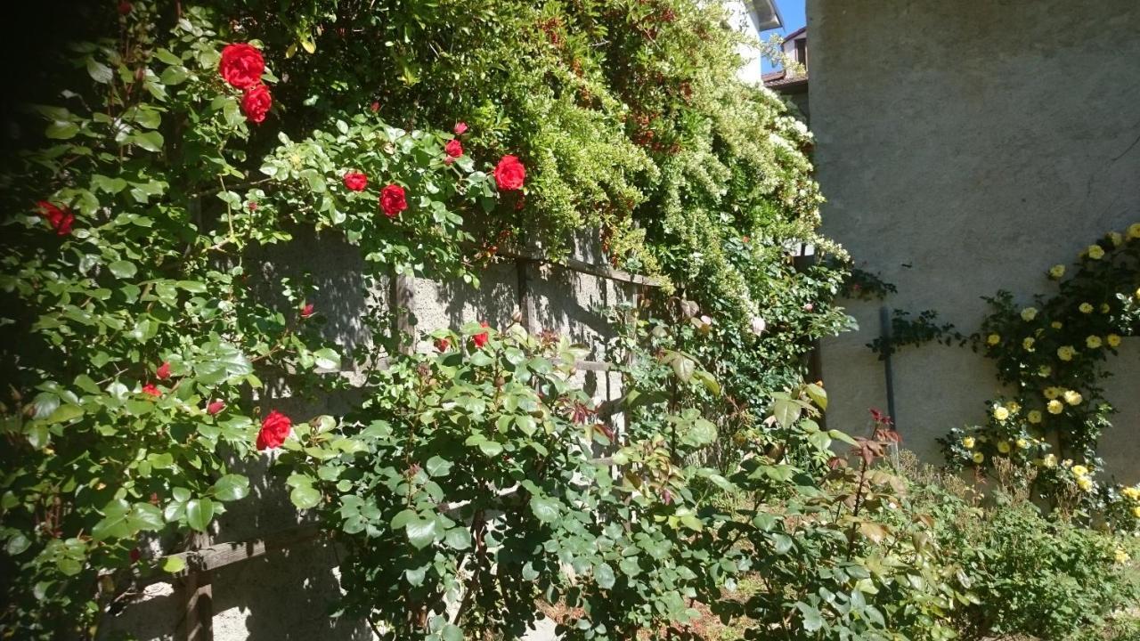B&B Barbaia Levice Exteriör bild